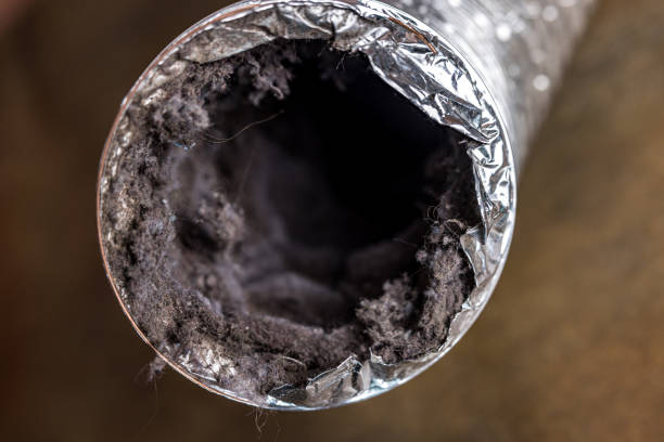 Best Air Duct Cleaning Company Near Me  in Bedford, IA